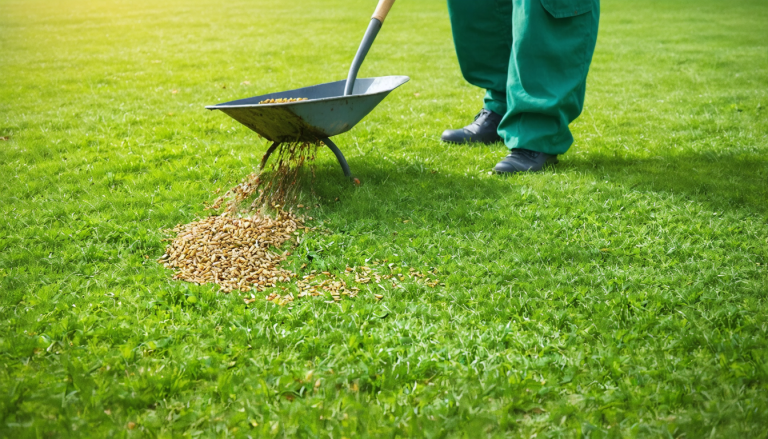 découvrez notre guide pratique pour regarnir efficacement votre gazon et obtenir une pelouse dense et verdoyante. conseils, astuces et étapes simples à suivre.